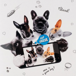 Dogs