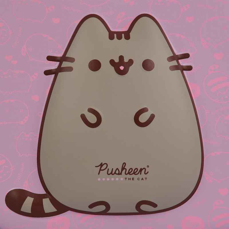 Принт Pusheen на передній панелі рюкзака YES – крупний план