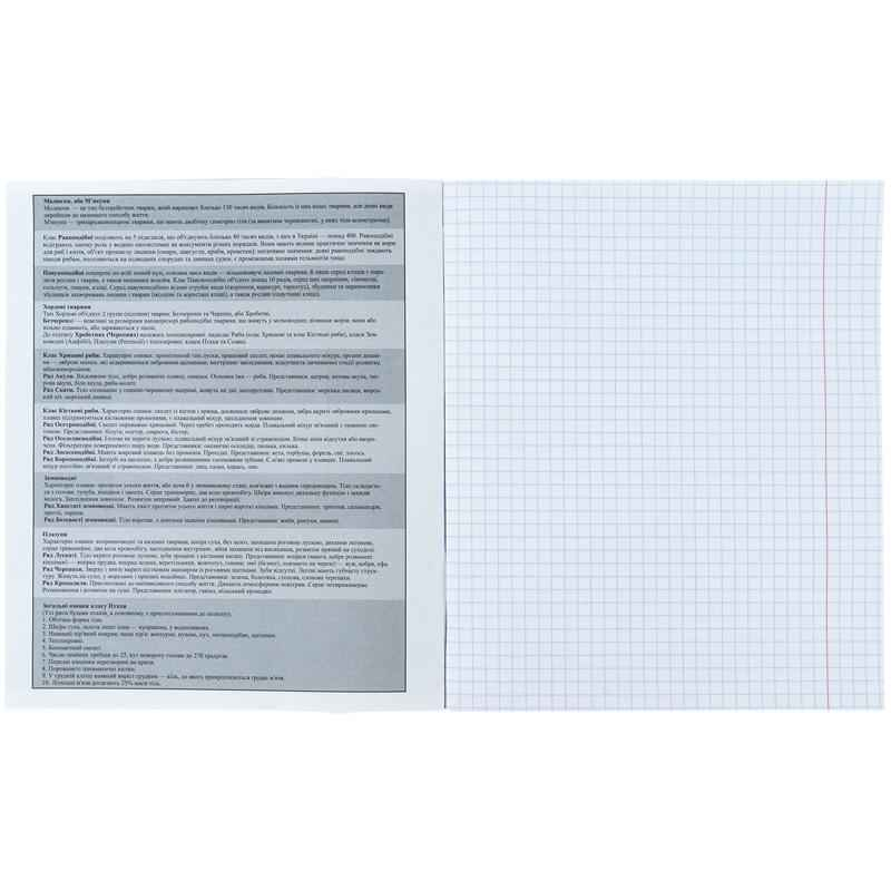 Набір зошитів предметних Kite Sketch K24-240-17-24, 48 аркушів, 8 шт