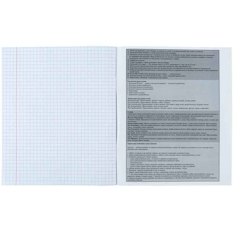 Набір зошитів предметних Kite Sketch K24-240-17-24, 48 аркушів, 8 шт