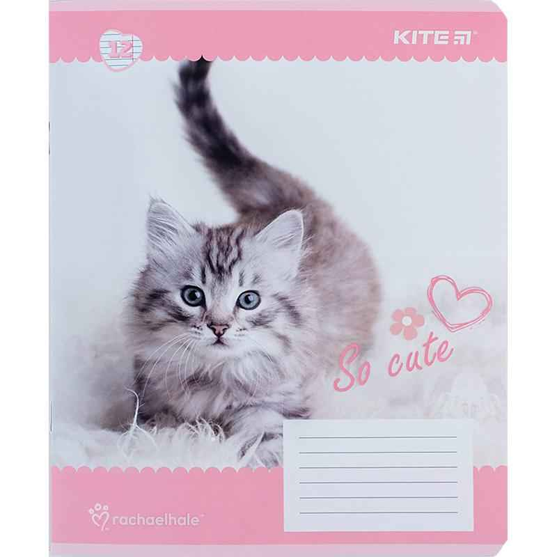 Зошит шкільний Kite Rachael Hale R24-234, 12 аркушів, лінія