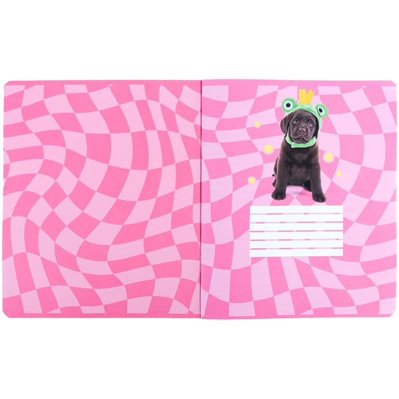Зошит шкільний Kite Studio Pets SP24-239, 24 аркуша, лінія