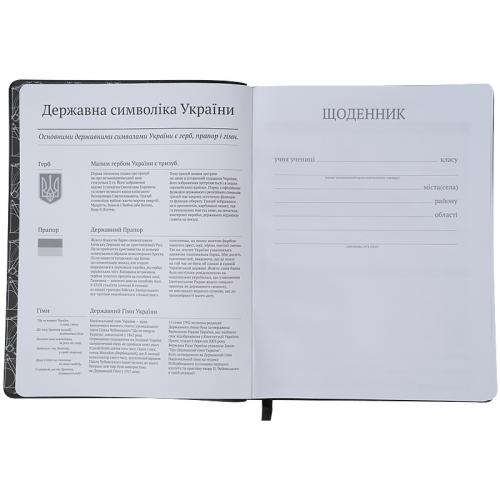 Щоденник шкільний Kite Stupid questions K22-283-5, м'яка обкладинка, PU
