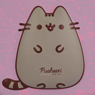 Принт Pusheen на передній панелі рюкзака YES – крупний план