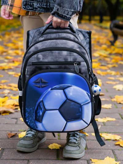 Рюкзак шкільний ортопедичний SkyName R3-249