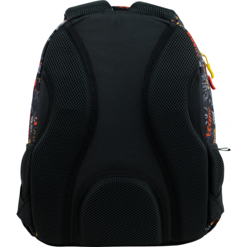 Рюкзак шкільний GoPack Education 175M-8 Street