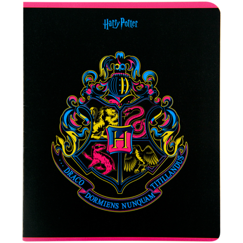 Зошит шкільний Kite Harry Potter HP22-238, 24 аркуша, клітинка
