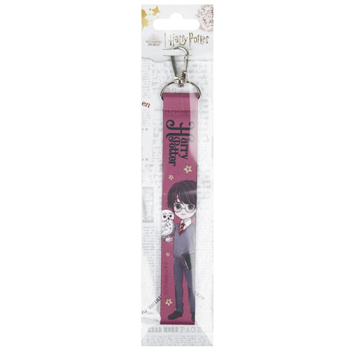 Брелок-підвіска Harry Potter HP23-3000-1