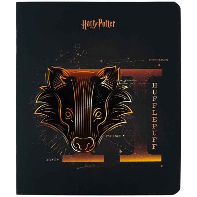 Зошит шкільний Kite Harry Potter HP24-259, 48 аркушів, клітинка