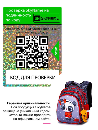 Рюкзак шкільний ортопедичний SkyName R2-182