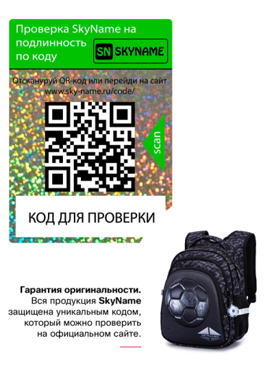 Рюкзак шкільний ортопедичний SkyName R2-188