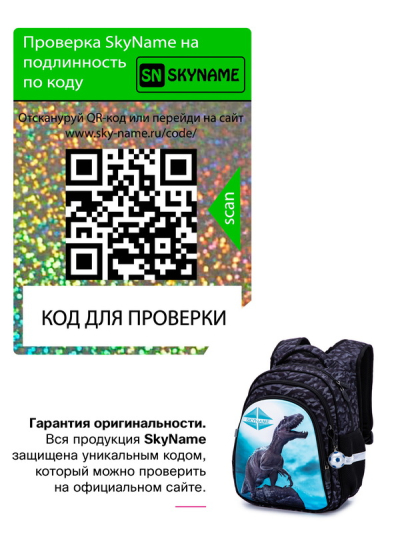 Рюкзак шкільний ортопедичний SkyName R2-189