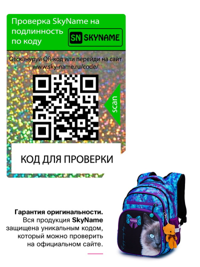 Рюкзак шкільний ортопедичний SkyName R3-246