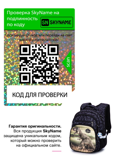 Рюкзак шкільний ортопедичний SkyName R3-247