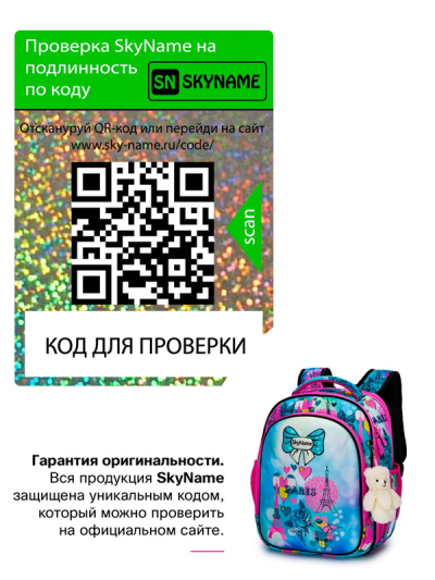 Рюкзак шкільний ортопедичний SkyName R4-411