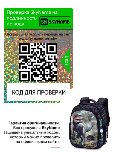 Рюкзак шкільний ортопедичний SkyName R4-415