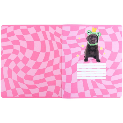Зошит шкільний Kite Studio Pets SP24-239, 24 аркуша, лінія